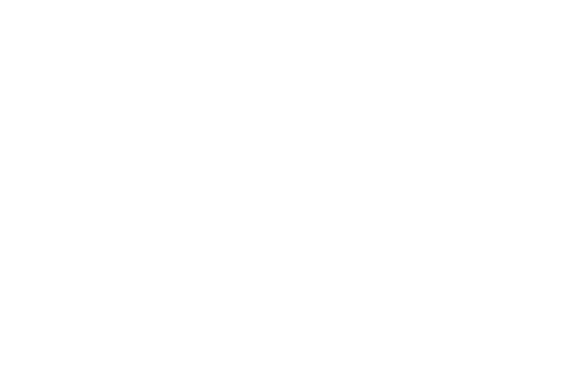 bizum logo