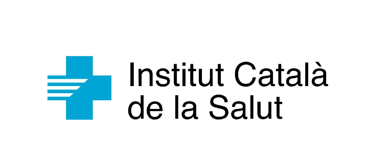 Logo ICS